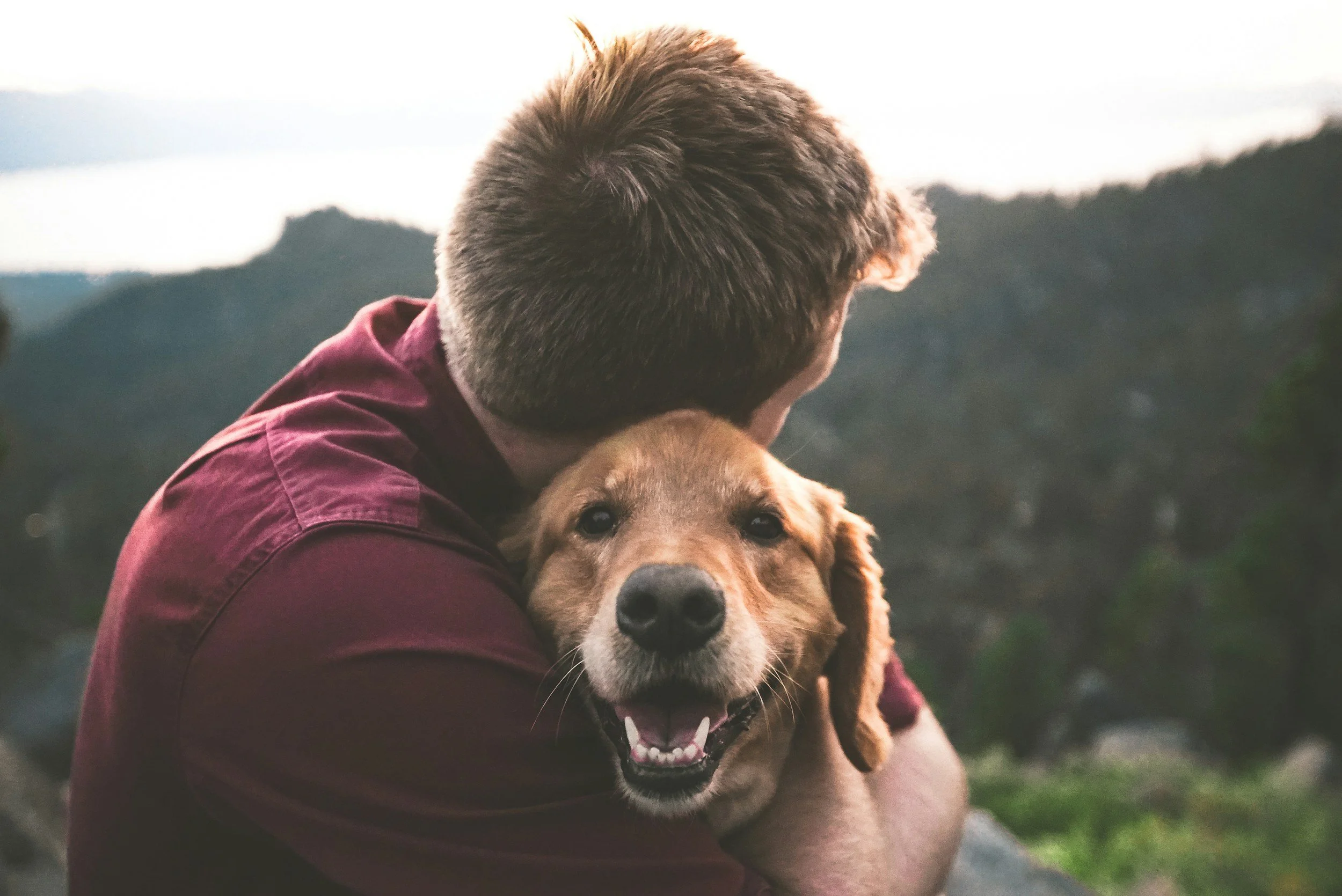 Why Pets Matter for Mental Health Why Pets Matter for Mental Health